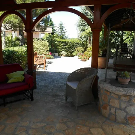 Palmisani *