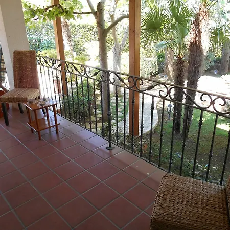 Palmisani *
