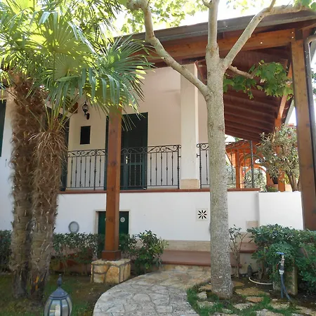 Palmisani * Fasano