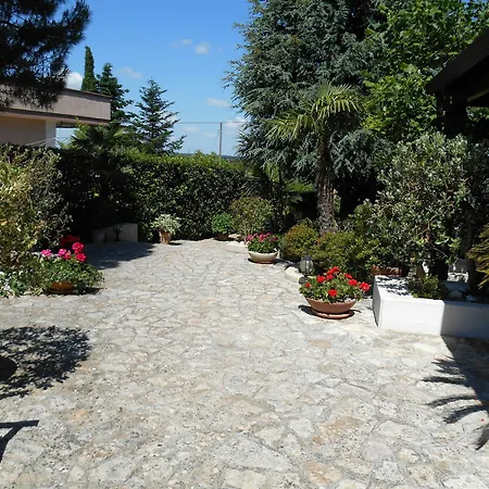 Palmisani *