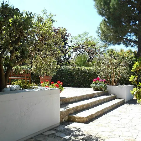 Palmisani * Fasano