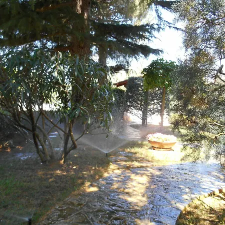 Villa Palmisani