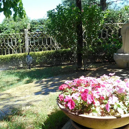 Palmisani