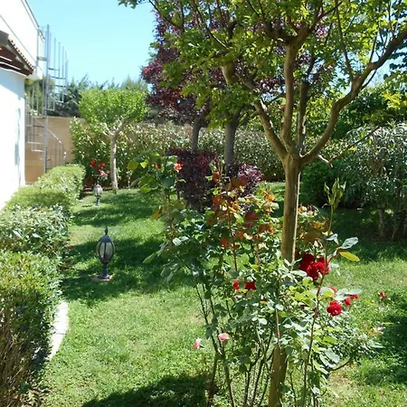 Palmisani *