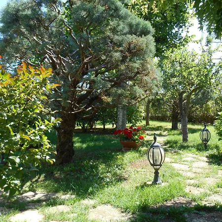 Palmisani